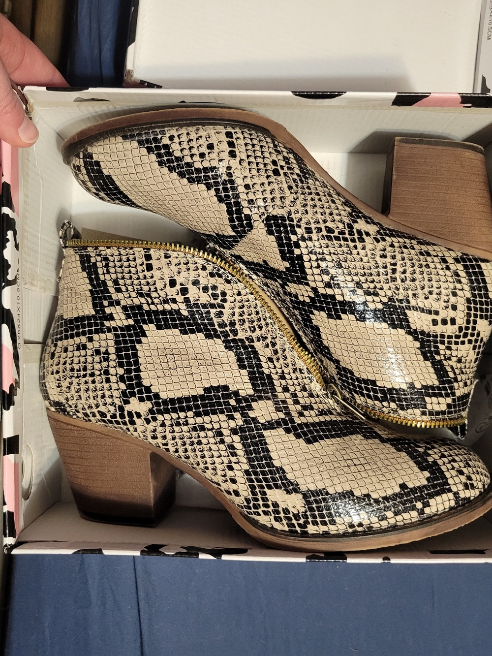 Snake-Print Beige Ankle Bootie with Gold Zip